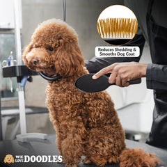 We Love Doodles pin brush on shedding dogs helps remove loose fur.