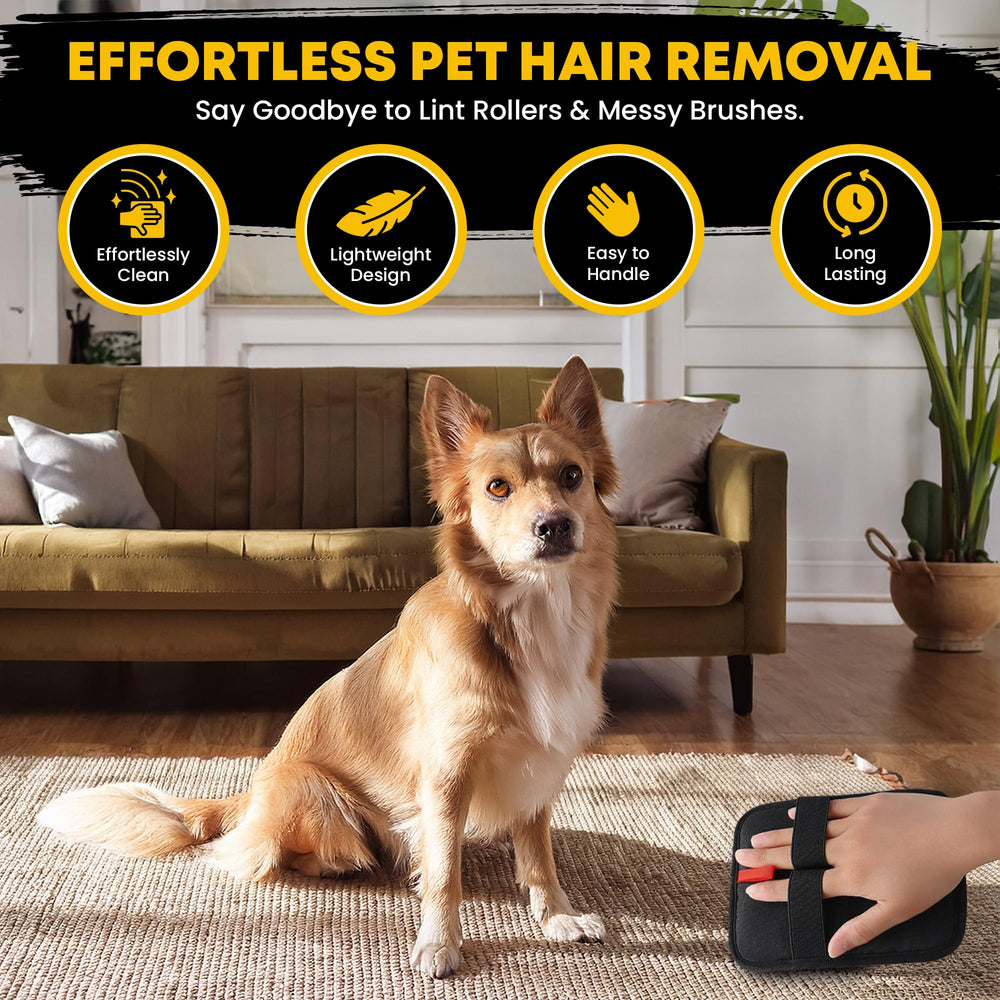 Welwon glove on car seats and clothes for quick fur removal.