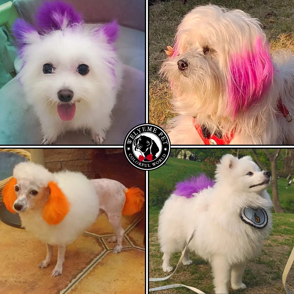 WELYEME dog hair dye brush-application shows easy, mess-free applying on coats.