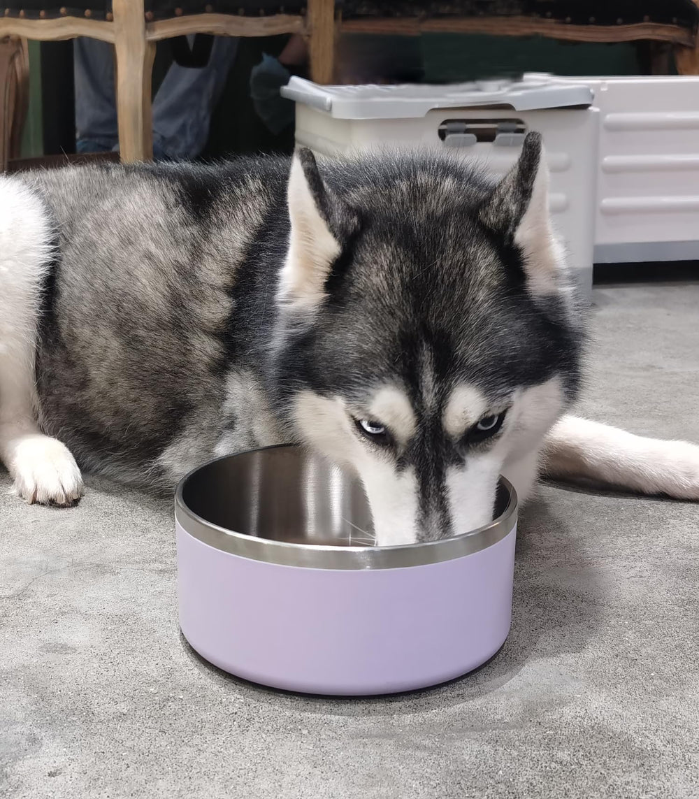 WENBOKMIN dog bowl quiet silicone base reduces noise during meals.