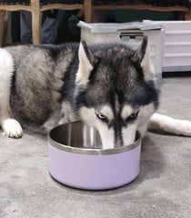 WENBOKMIN dog bowl quiet silicone base reduces noise during meals.