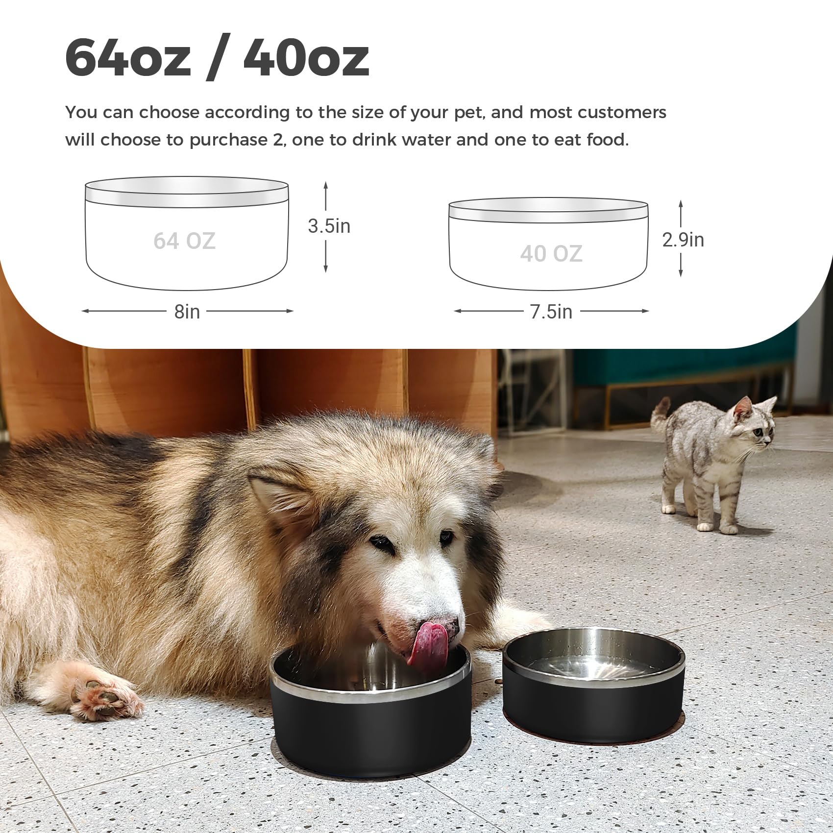 WENBOKMIN dog bowl with non-slip base prevents spills during active feeding.
