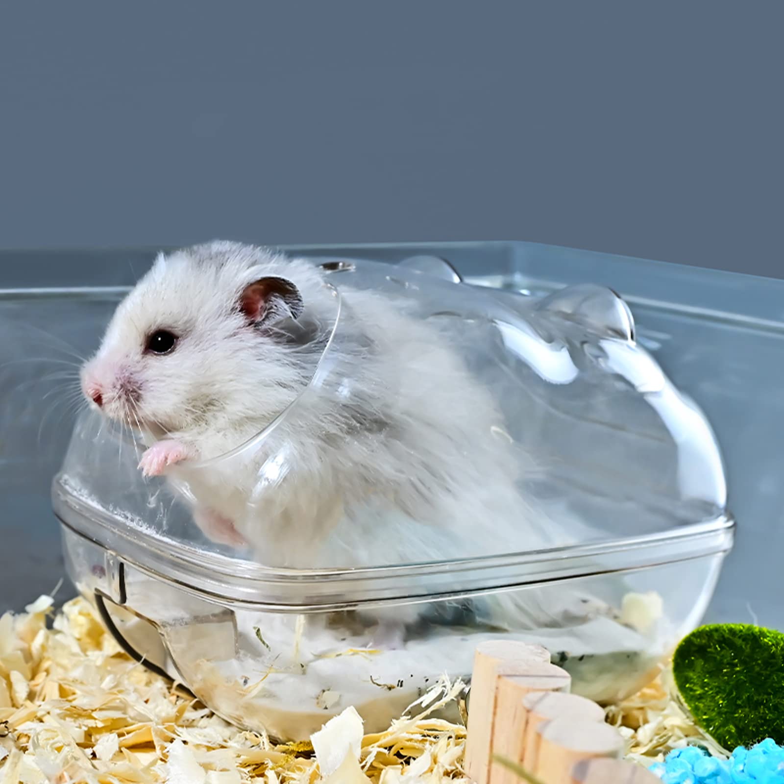 Wenriko hamster sand bath container transparent design lets you observe hamster activity while they roll.