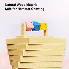 Wenriko Syrian and dwarf hamster foraging toy encourages exploration and cognitive play.