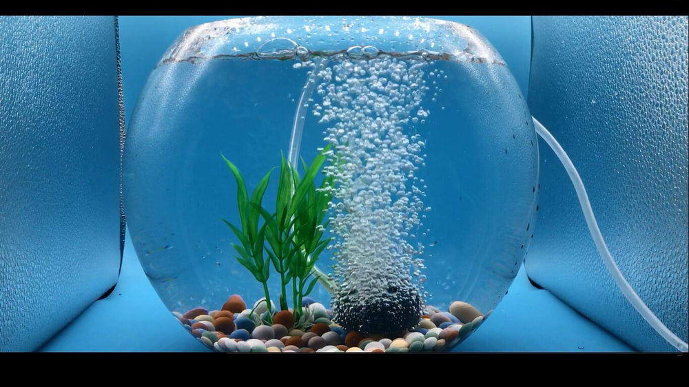 Wenshall oxygen-diffusion in aquarium image highlighting effective water aeration.