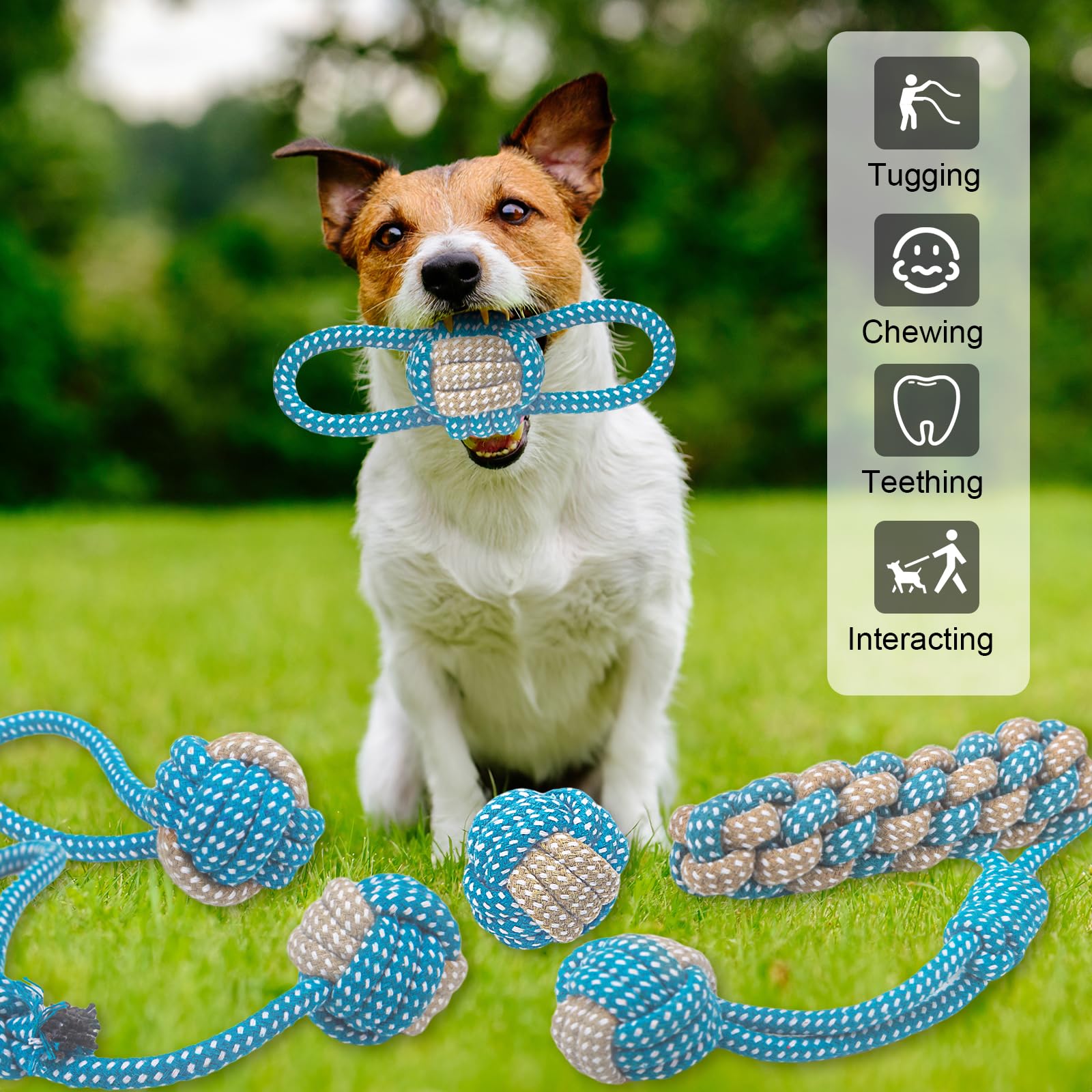 Weocar dog-teeth-cleaning rope highlights washable material and dental-friendly play.