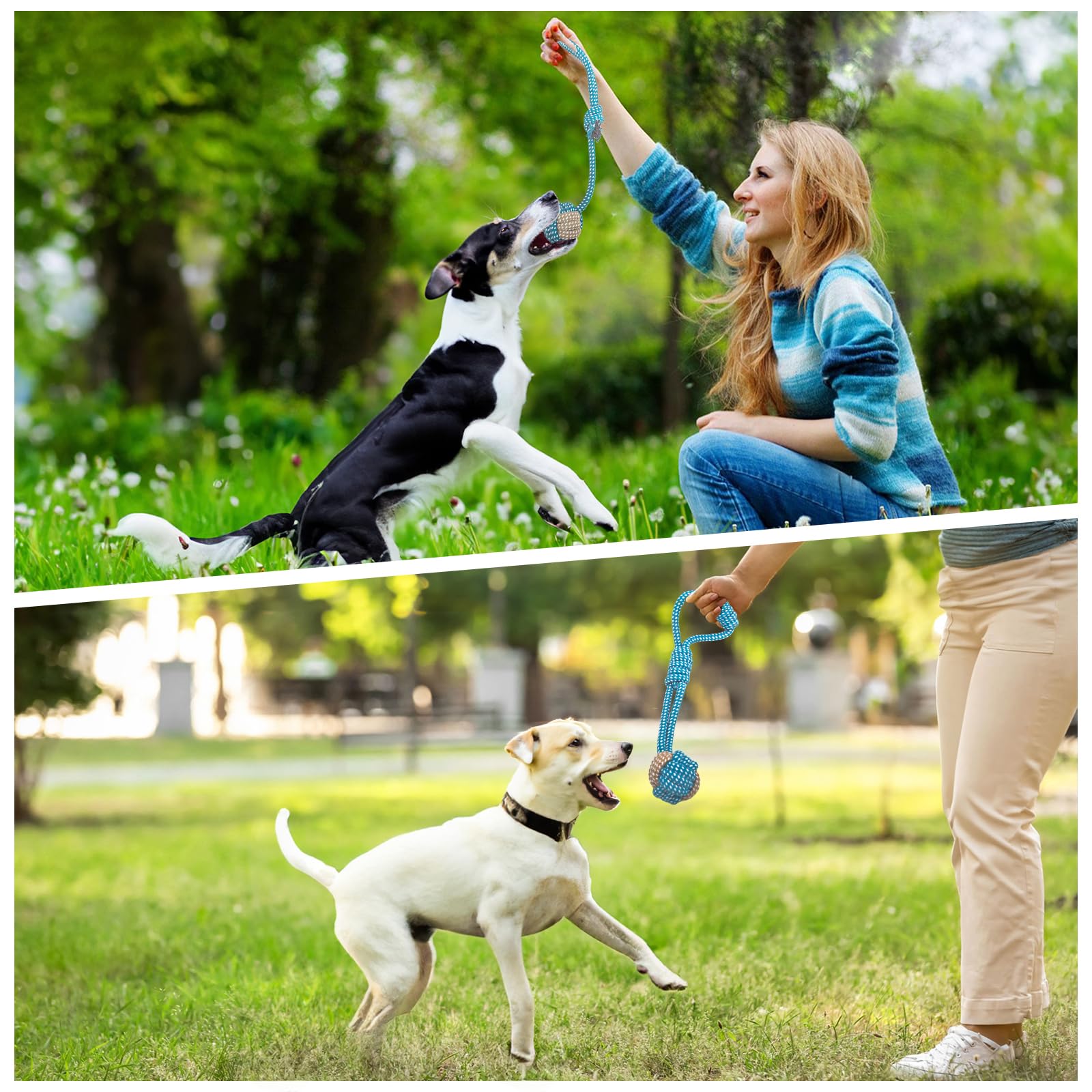 Weocar rope toy set for indoor-outdoor use keeps dogs entertained.