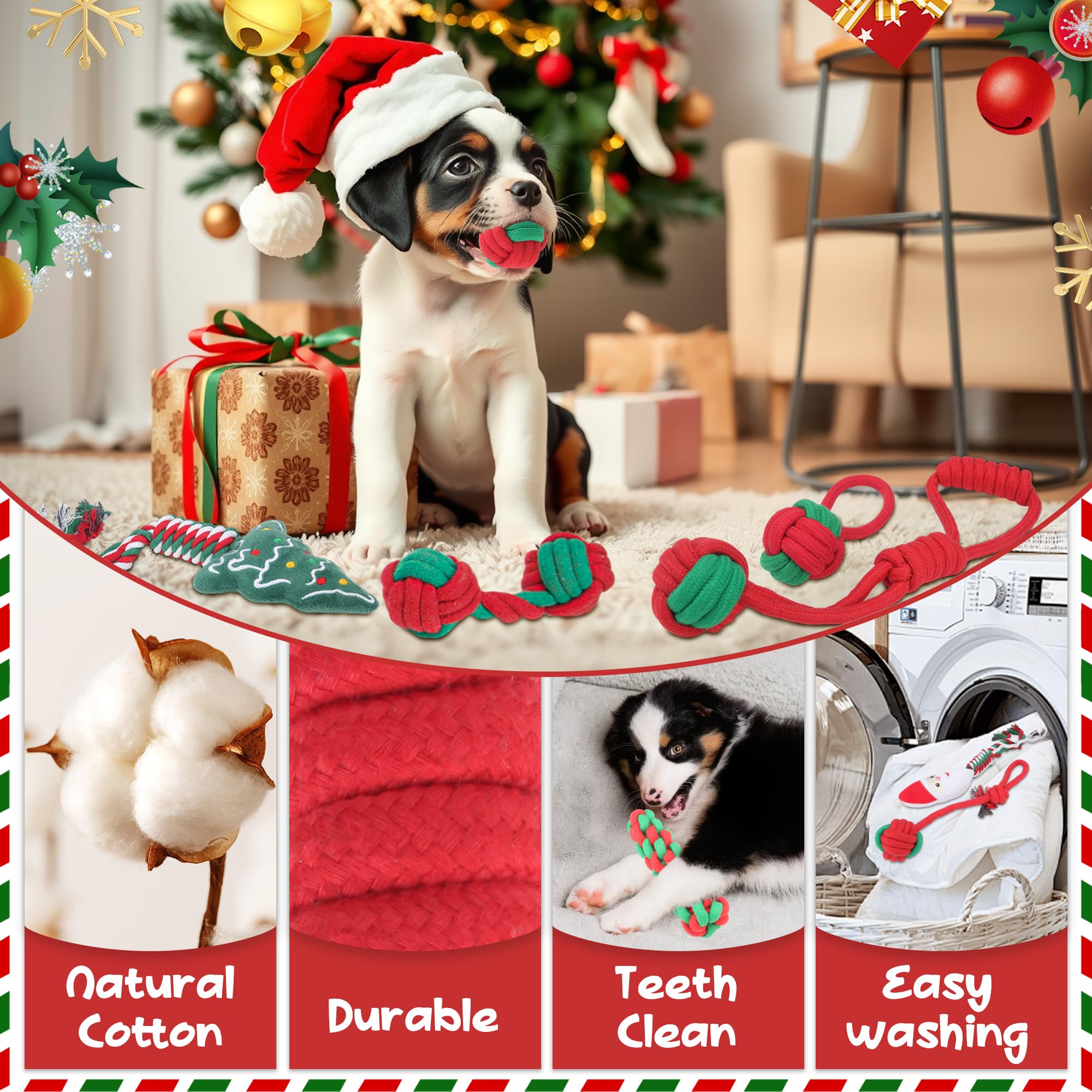 Weocar small-dog playtime with rope toys demonstrates interactive bonding and training potential