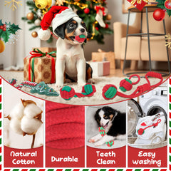 Weocar small-dog playtime with rope toys demonstrates interactive bonding and training potential