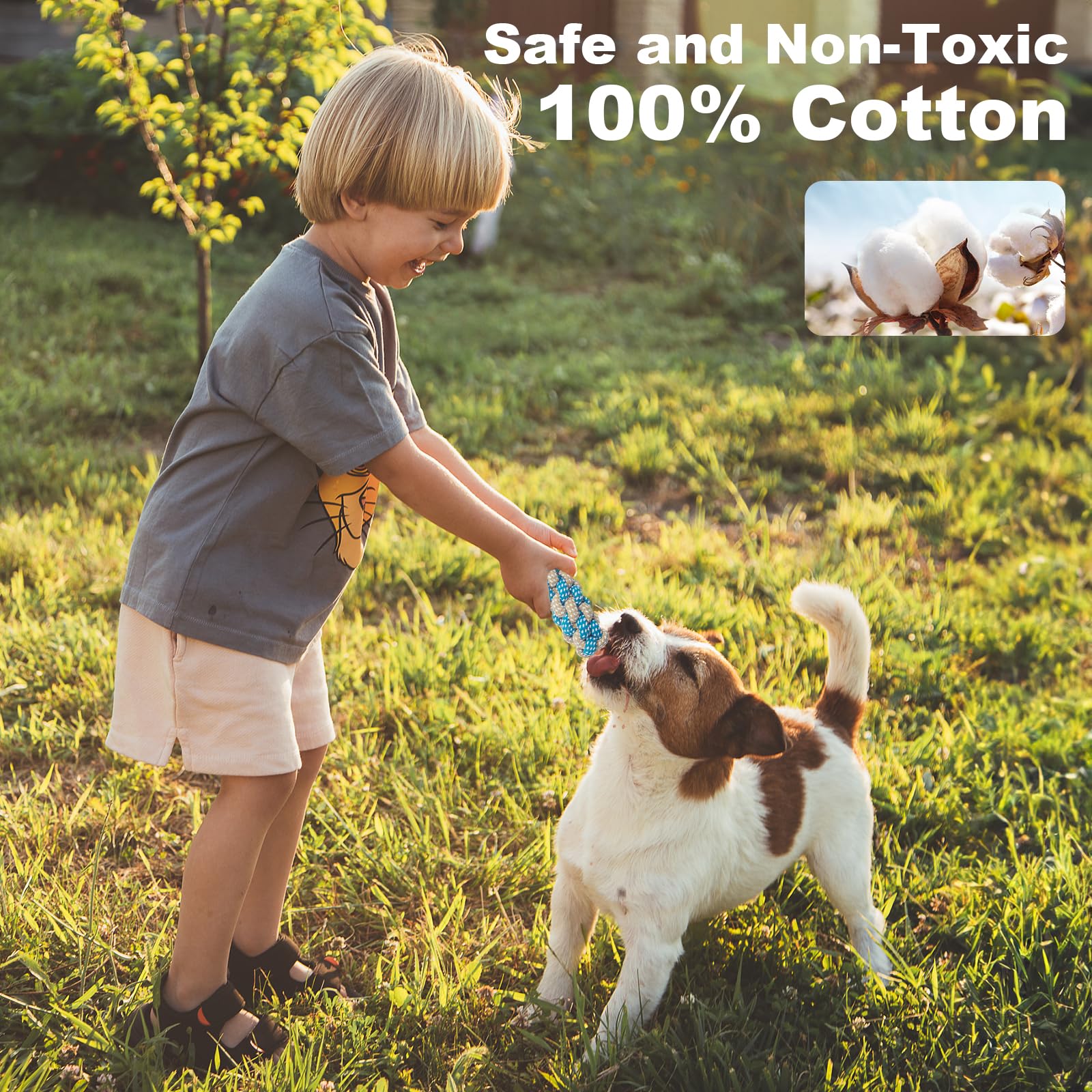 Weocar small-dog rope toy for fetch and tug indoors.