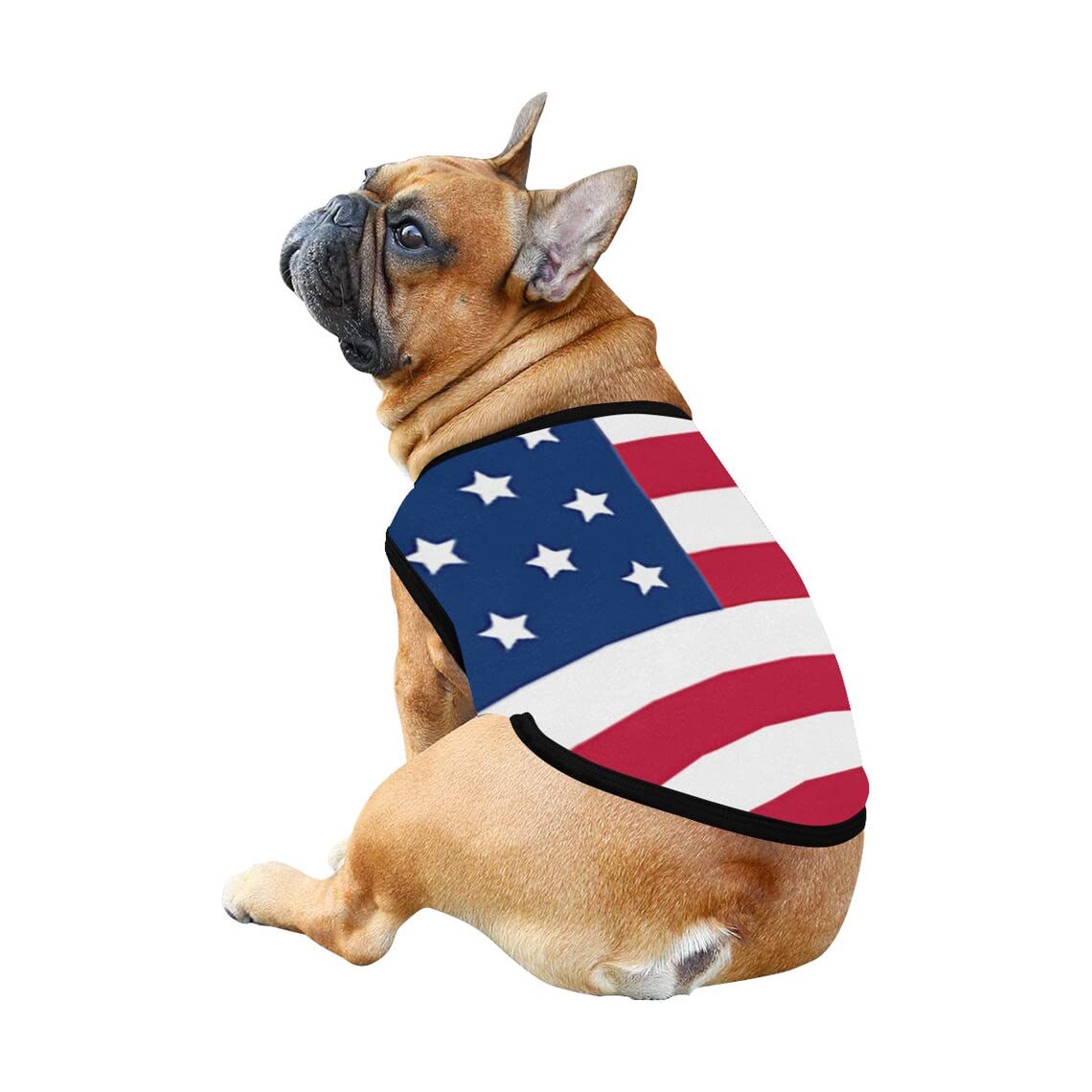 weokwock dog vest size chart image displaying S/M/L options for accurate fit