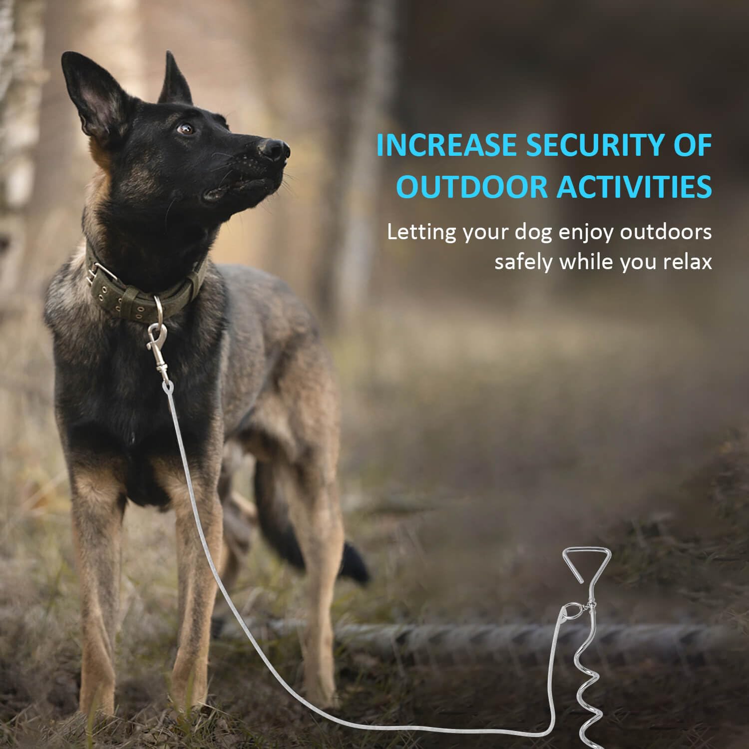 WePet tie-out stake clip connects leash quickly for easy on/off