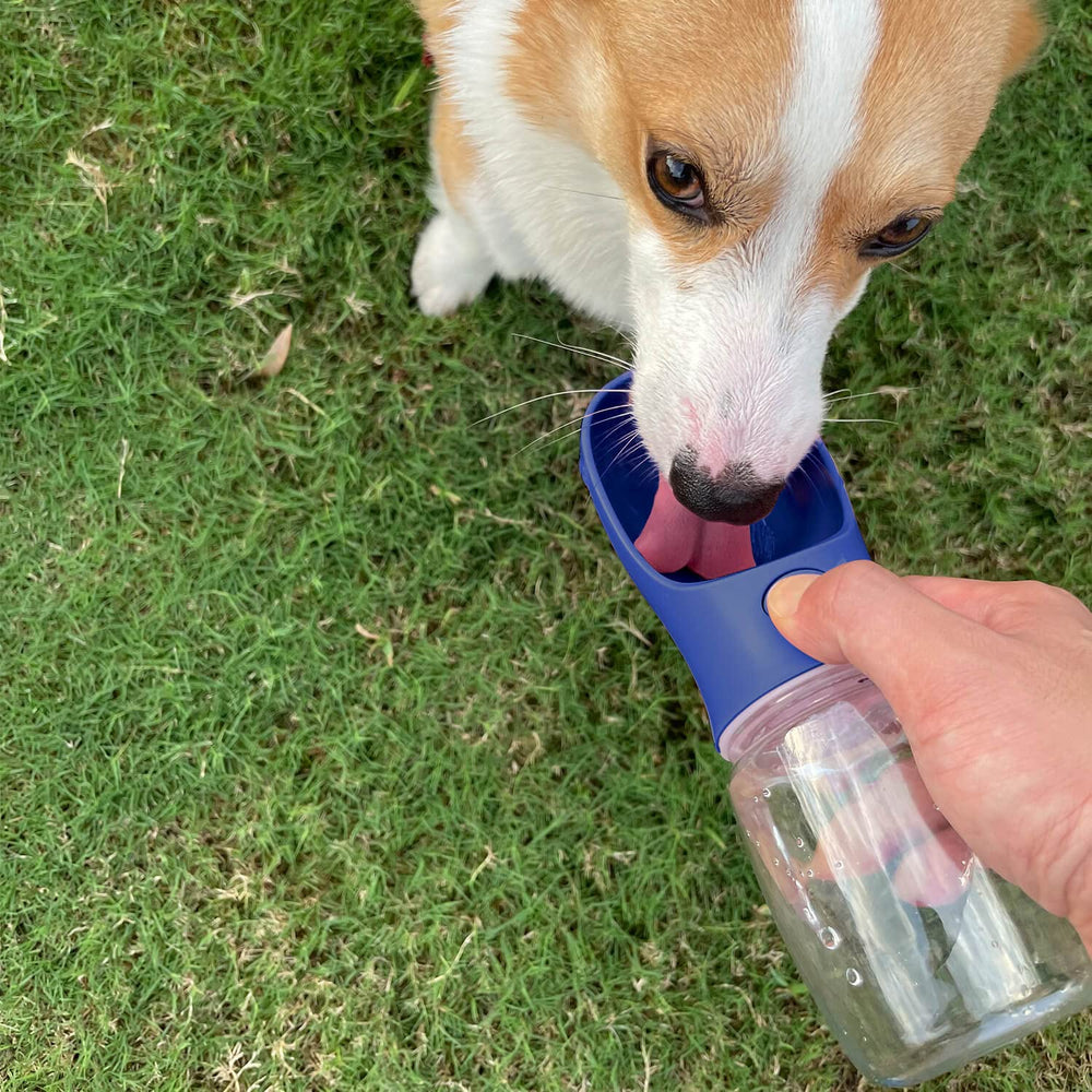 WePet leak-proof seal ring prevents spills during hikes.