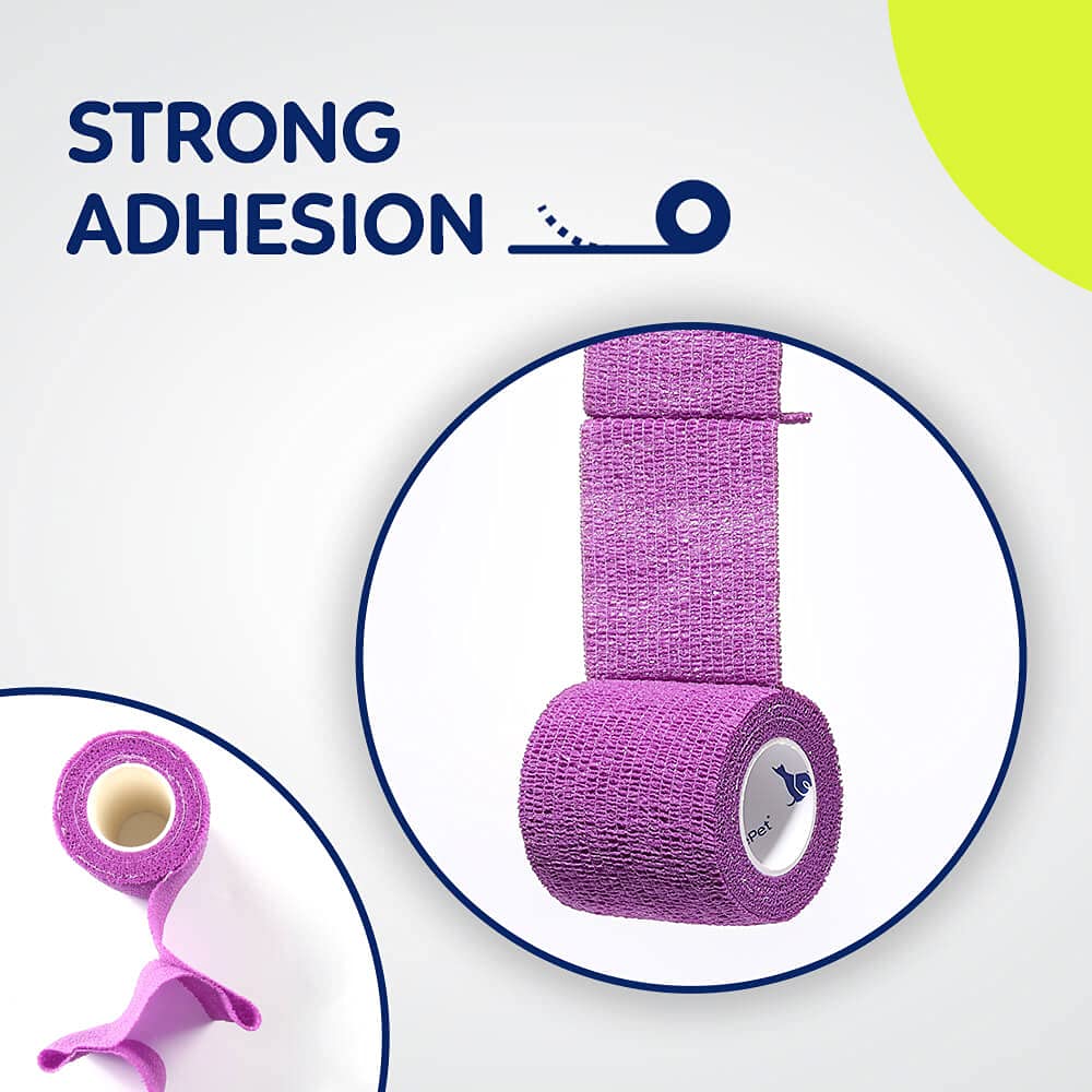 WePet Pet Wrap on a dog's paw provides quick, protective wrapping.