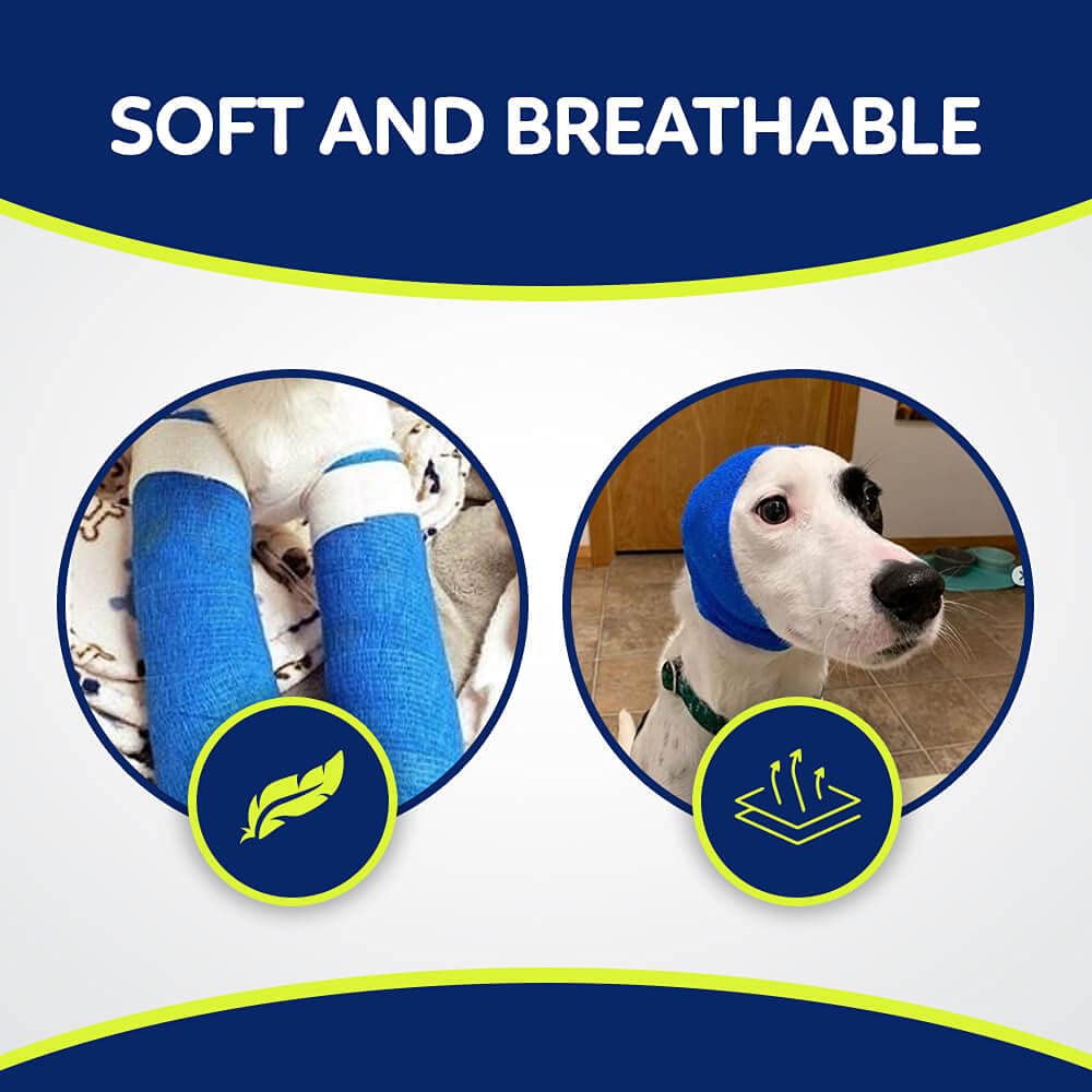WePet Pet Wrap packaging kept clean and ready to use.