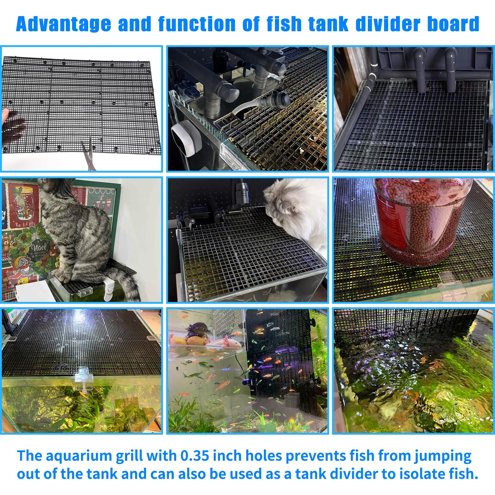 Weramics fish tank lid and barrier provides reliable containment and jump protection.