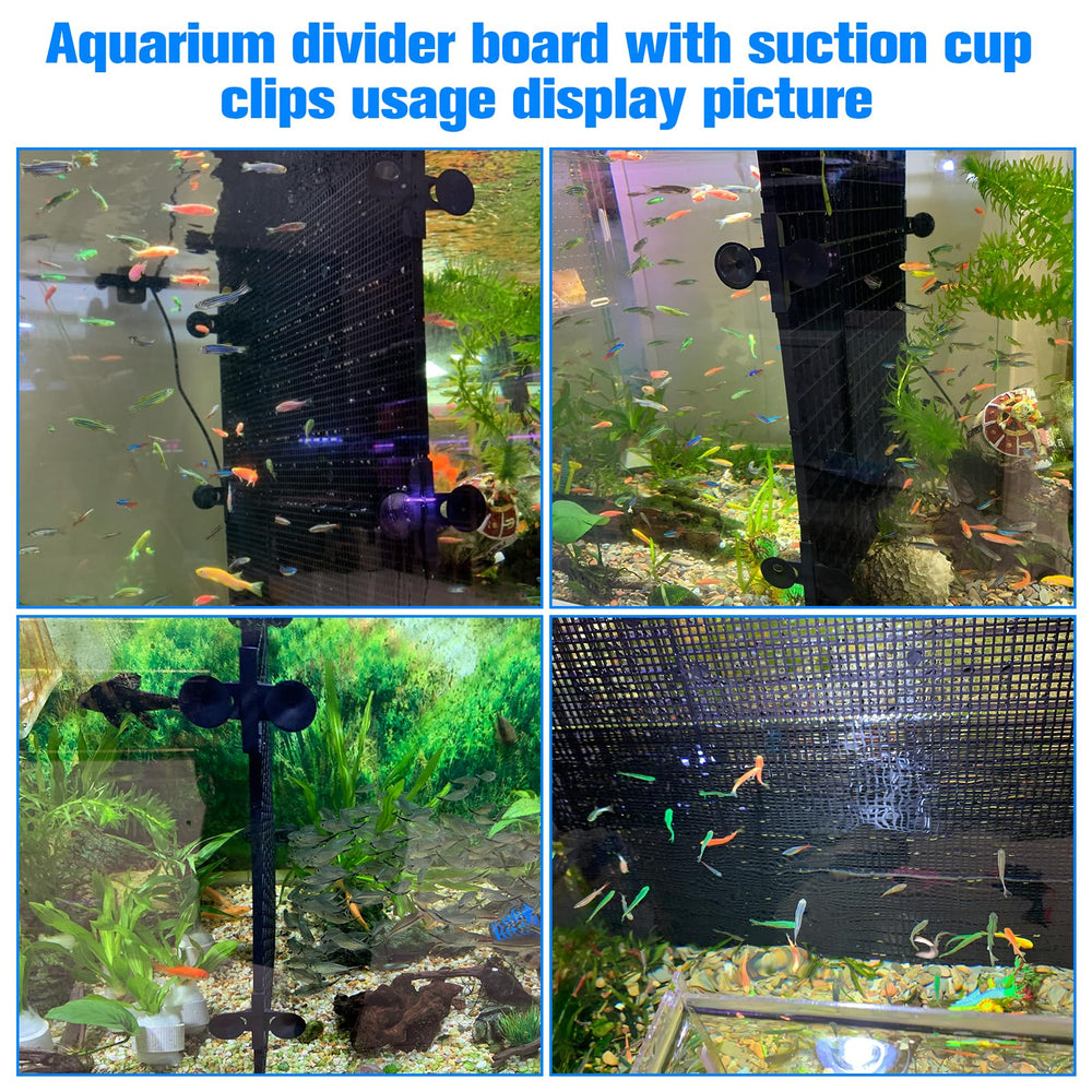 Weramics multipurpose aquarium base illustrating sturdy, adaptable use as bottom support.