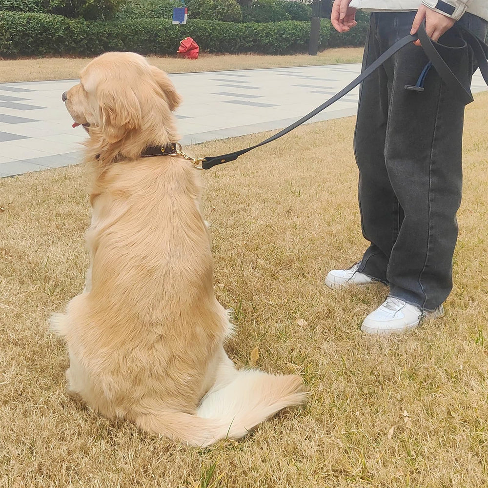 WeRChnpet training-use view demonstrates leash versatility for training sessions.