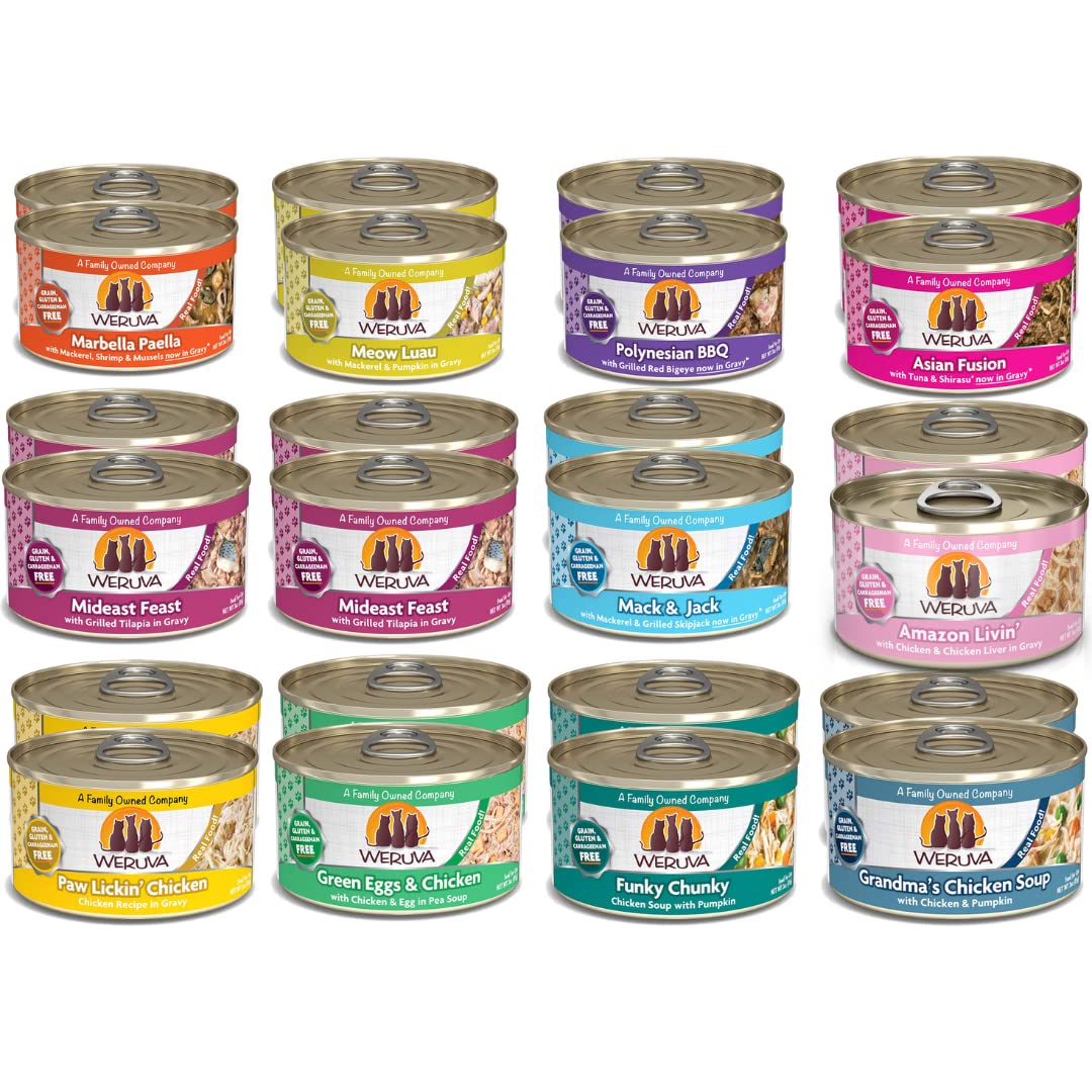 Weruva Classic Cat broth-based formula closeup emphasizing high moisture content