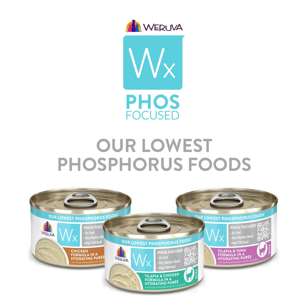 Weruva Wx Phos Focused pack on kitchen counter, convenient cat food option