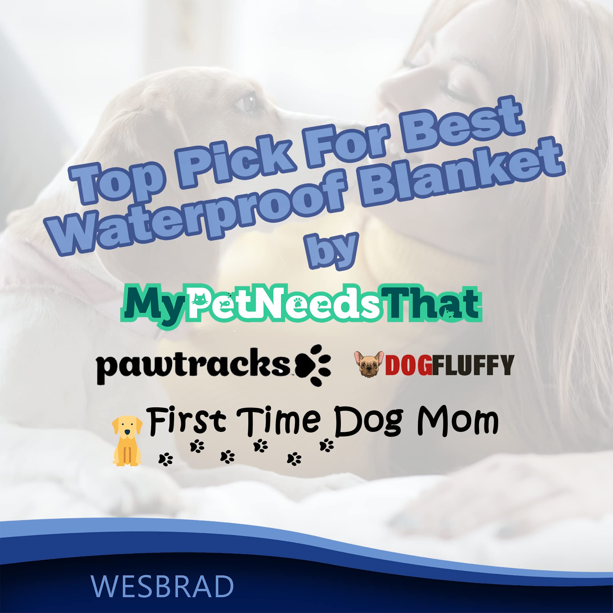 WESBRAD pet-friendly setup with dogs and cats lounging on the blanket.