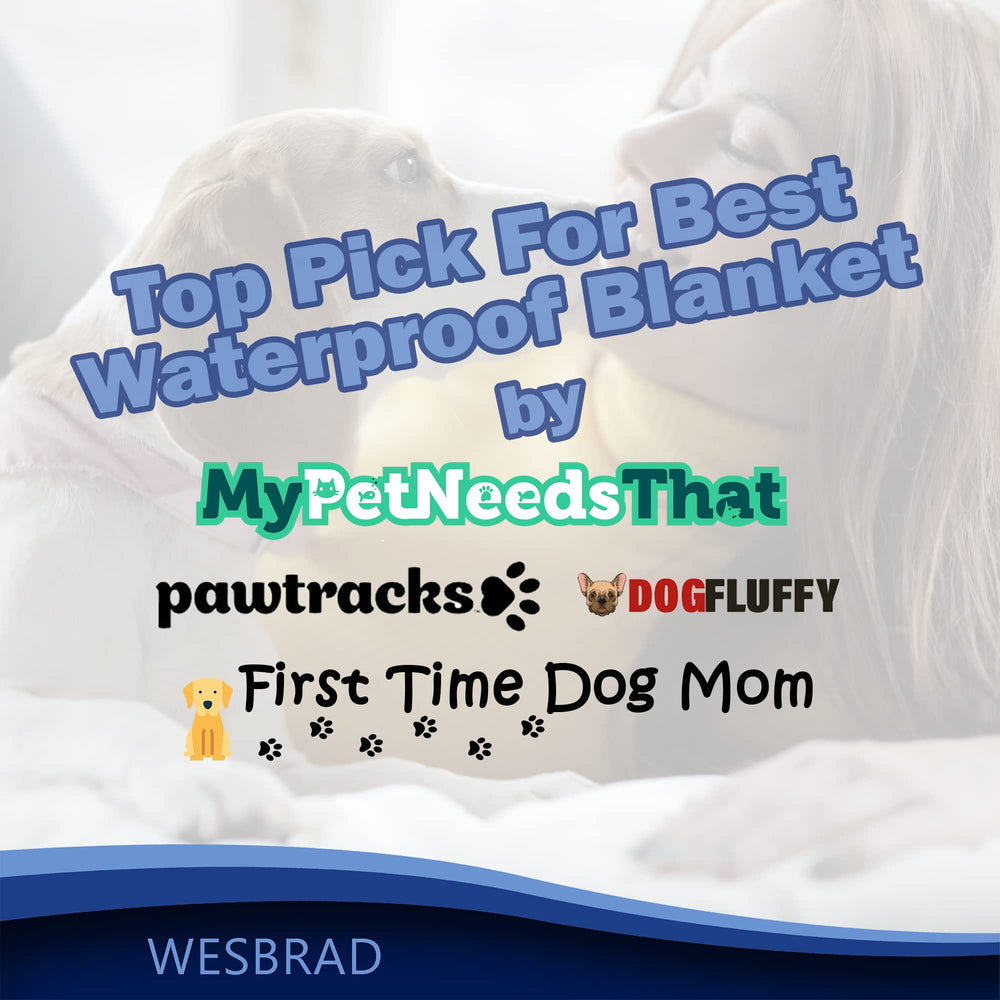 WESBRAD pet-friendly setup with dogs and cats lounging on the blanket.