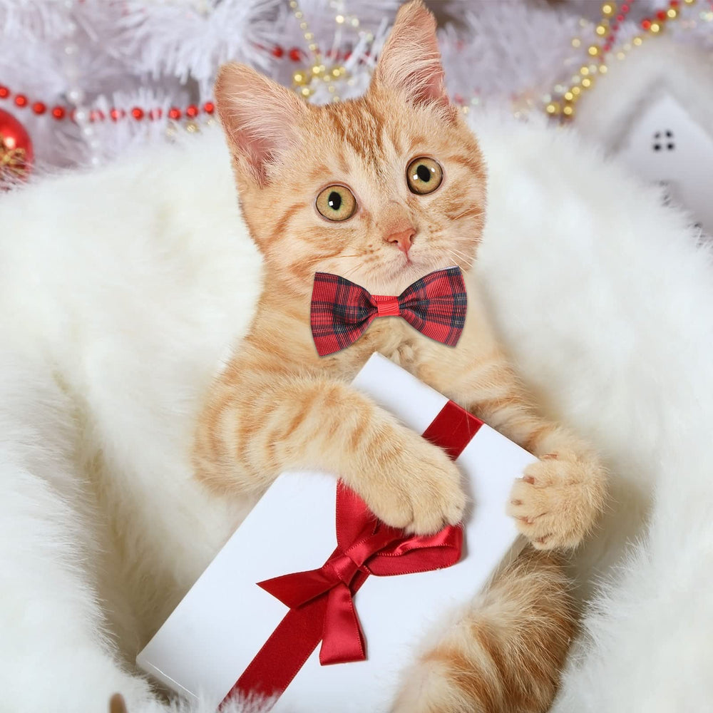 Wesiti pet photography prop bow ties for portrait moments.