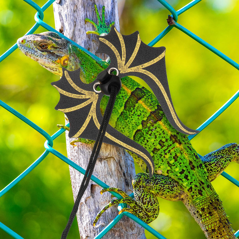 Wesnoy black leather harness set highlighting durable reptile safety gear.