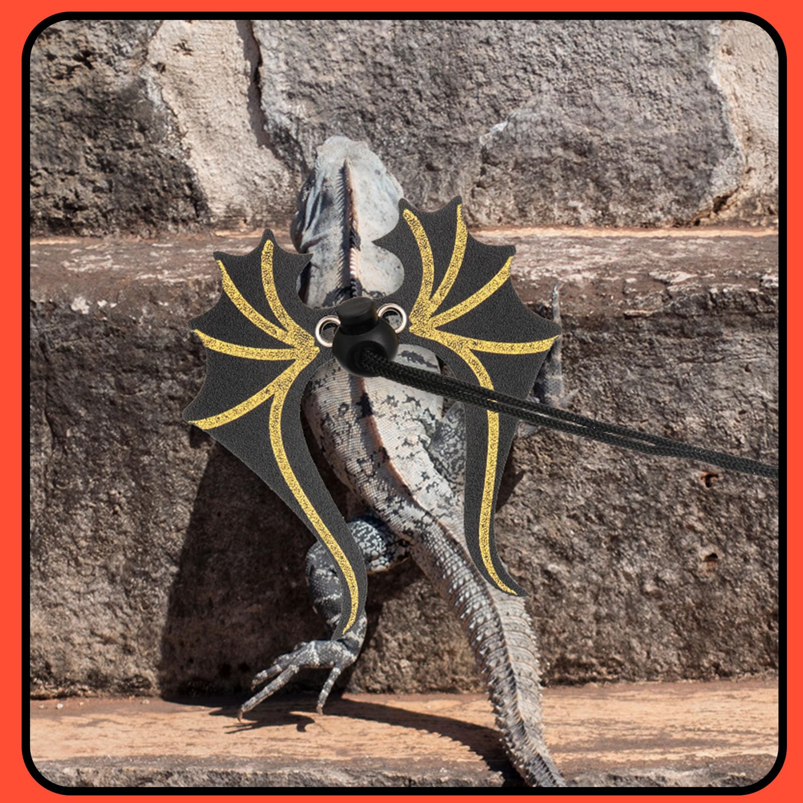 Wesnoy reptile-walking accessory with leash illustrating broad usability for small pets.