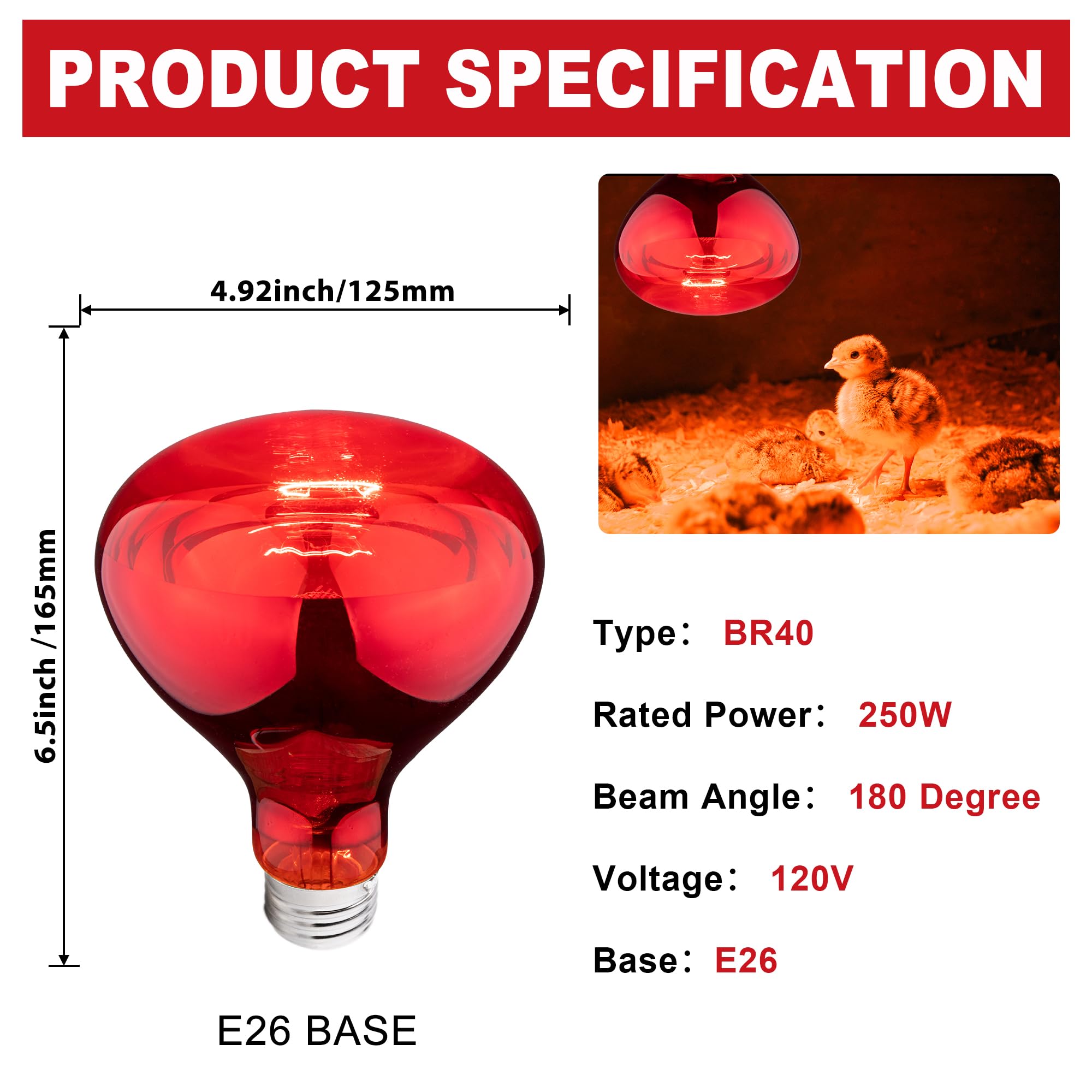 Wesome Lighting 250W red heat lamp bulb in a chick brooder setup.