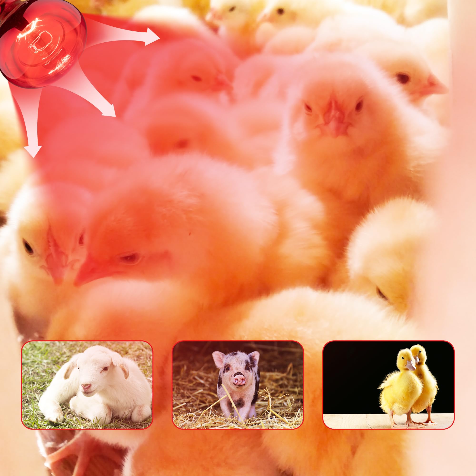 Wesome Lighting infrared heat emitter with reflective glass for efficient warmth.