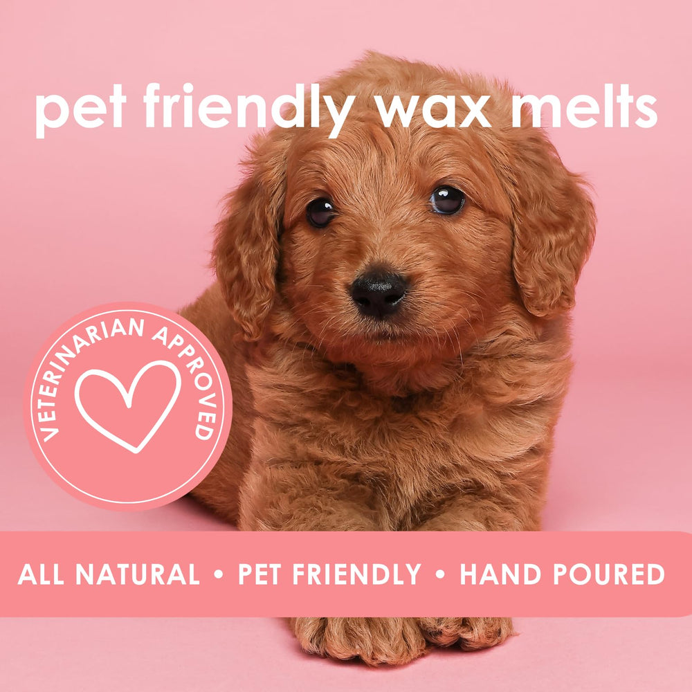 Hand-poured Refresh melts in small batches, emphasizing care and craftsmanship.