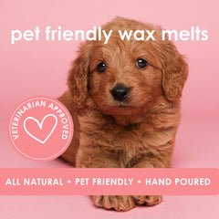 Hand-poured Refresh melts in small batches, emphasizing care and craftsmanship.