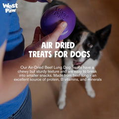West Paw beef lung tidbits broken for small dogs during training sessions.