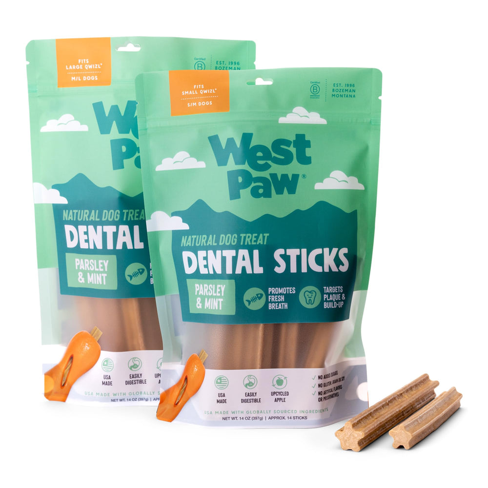 West Paw Dental Sticks fetch-ready toy for interactive play and bonding