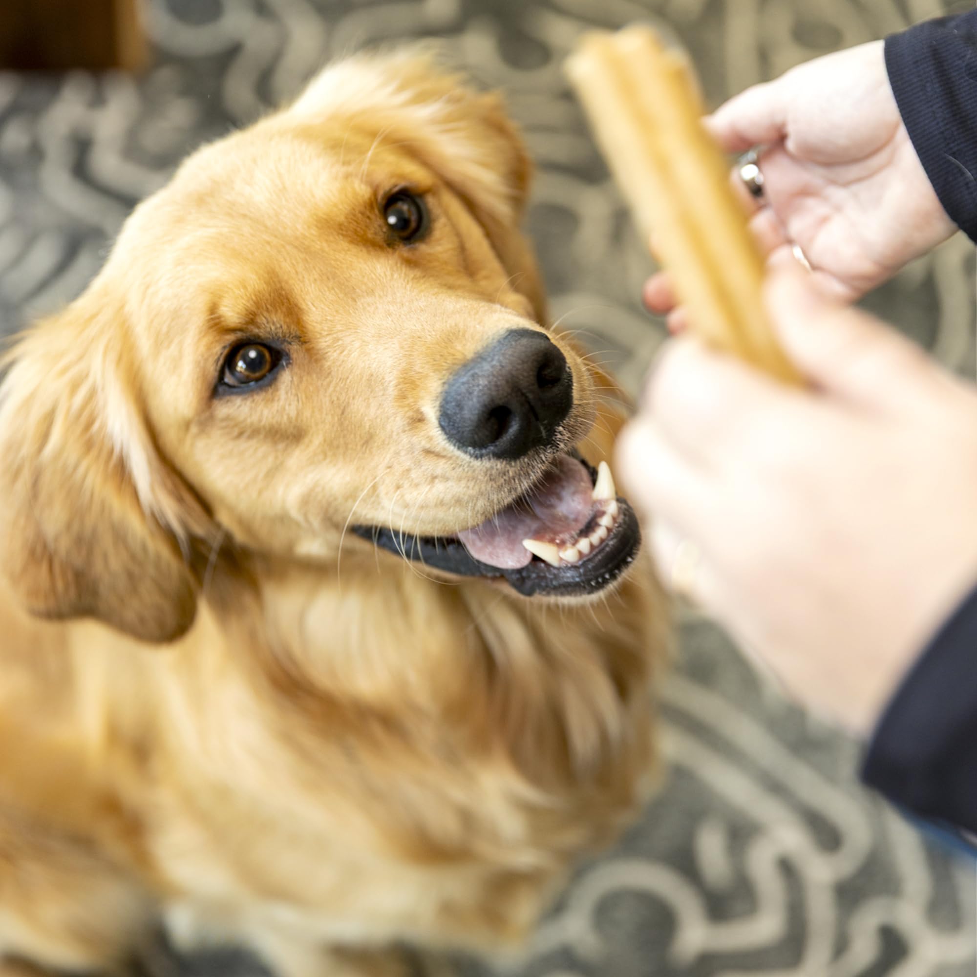 West Paw Dental Sticks USA-made safety and durability you can trust