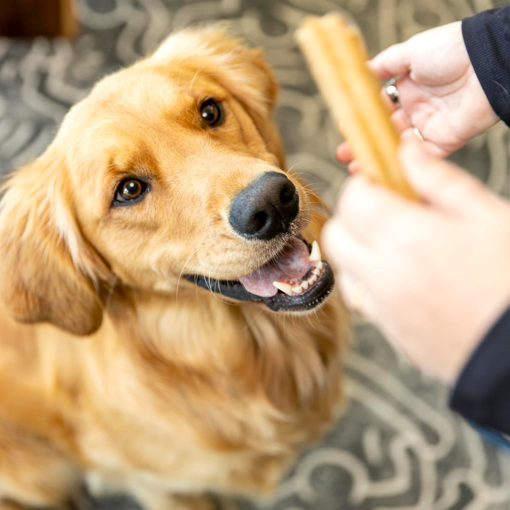 West Paw Dental Sticks USA-made safety and durability you can trust