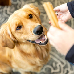 West Paw Dental Sticks USA-made safety and durability you can trust