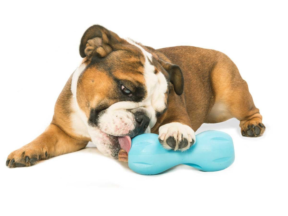 West Paw Qwizl Aqua Small closeup texture emphasizes durable chew-friendly material and scent cues