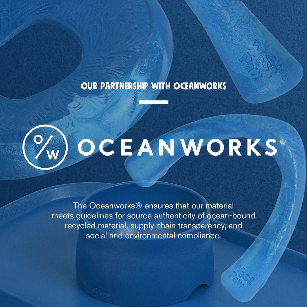 WEST PAW Seaflex Sailz disc packaging shows eco-friendly design.