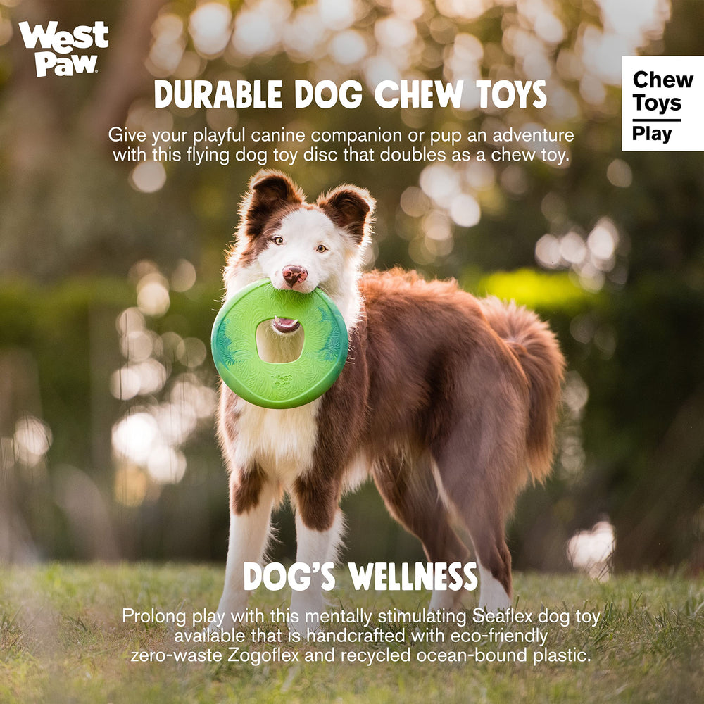 WEST PAW Seaflex Sailz disc washable close-up highlights rinse-and-dry convenience.