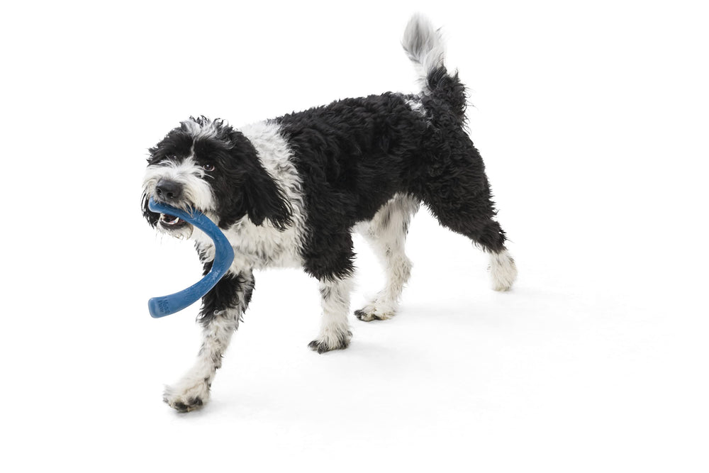 West Paw Seaflex Snorkl moderate-chewers: durable chew for daily sessions