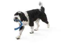 West Paw Seaflex Snorkl moderate-chewers: durable chew for daily sessions