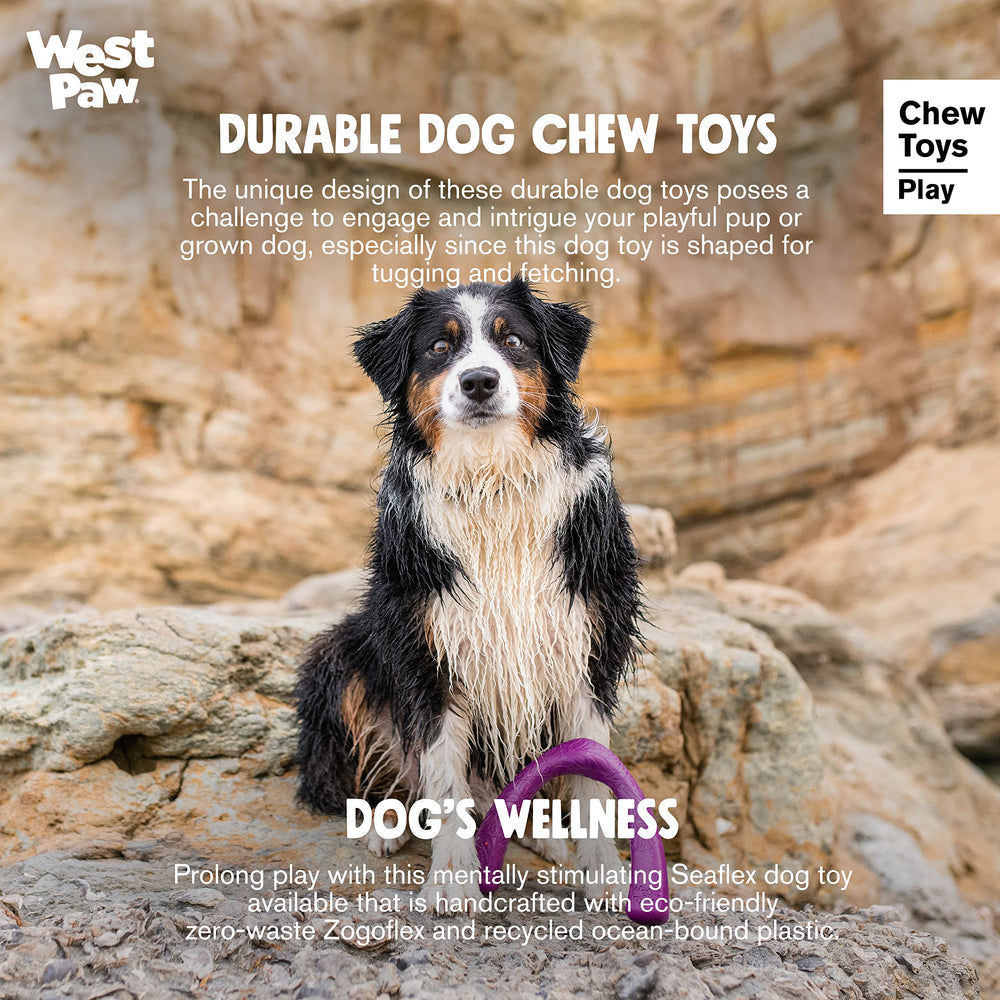 West Paw Seaflex Snorkl oceanworks-guarantee: sourcing transparency for consumers