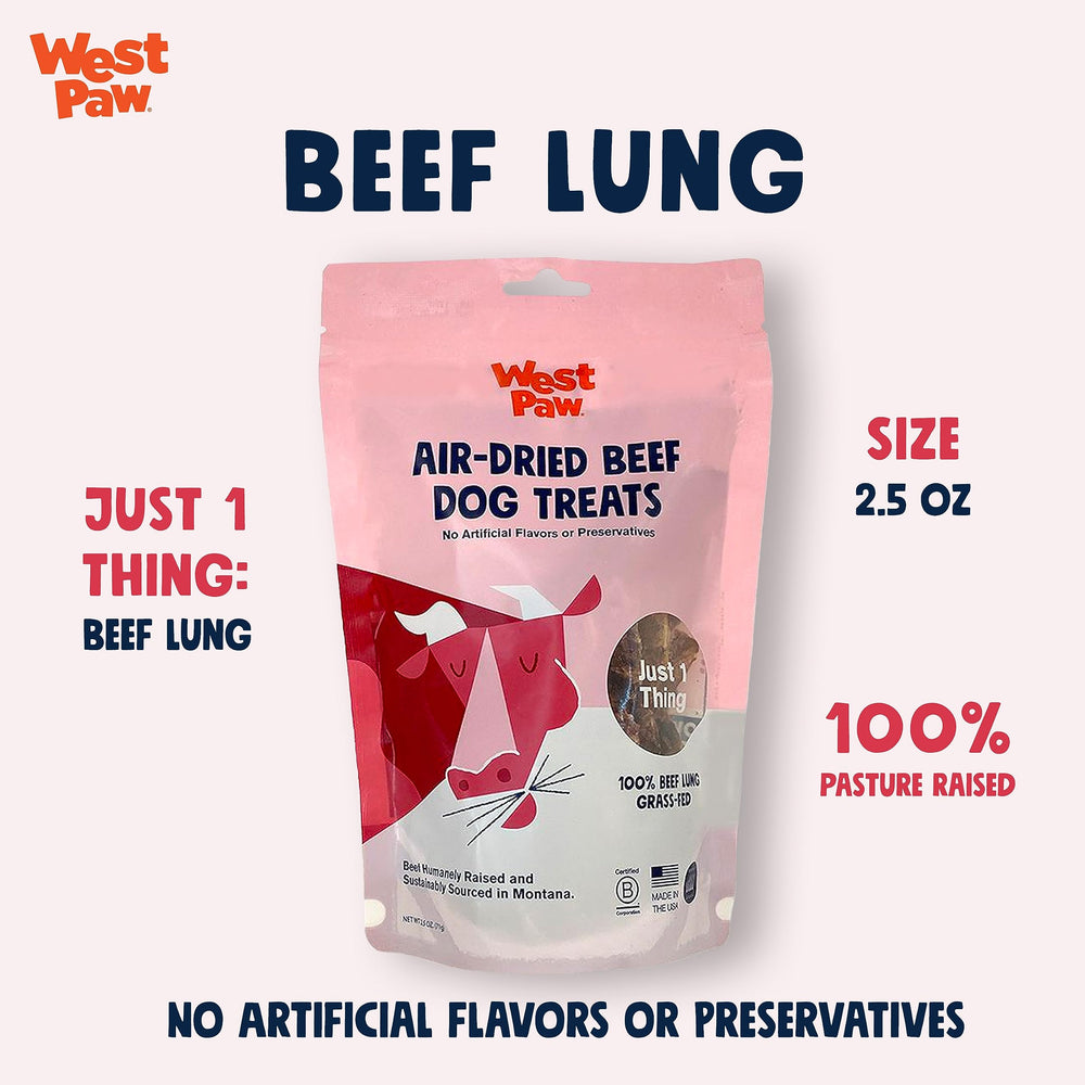West Paw beef lung treat training piece in hand shows easy breakability for rewards.