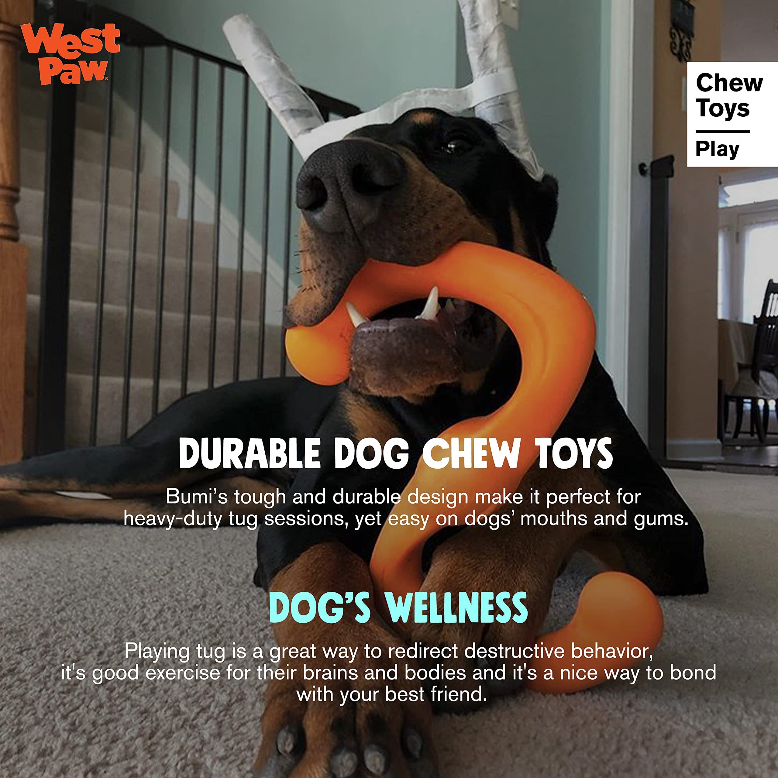 West Paw Zogoflex Bumi 100% recyclable material supports eco play.