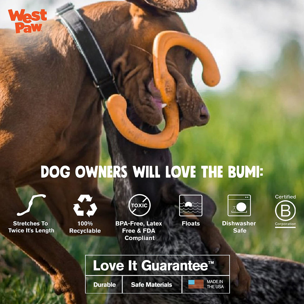 WEST PAW Zogoflex Bumi two-dog interactive design for shared fun