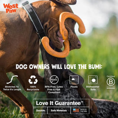 WEST PAW Zogoflex Bumi two-dog interactive design for shared fun