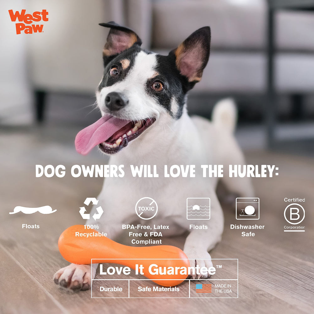 West Paw Zogoflex Hurley dog bone toy bright Tangerine aids visibility during outdoor play.