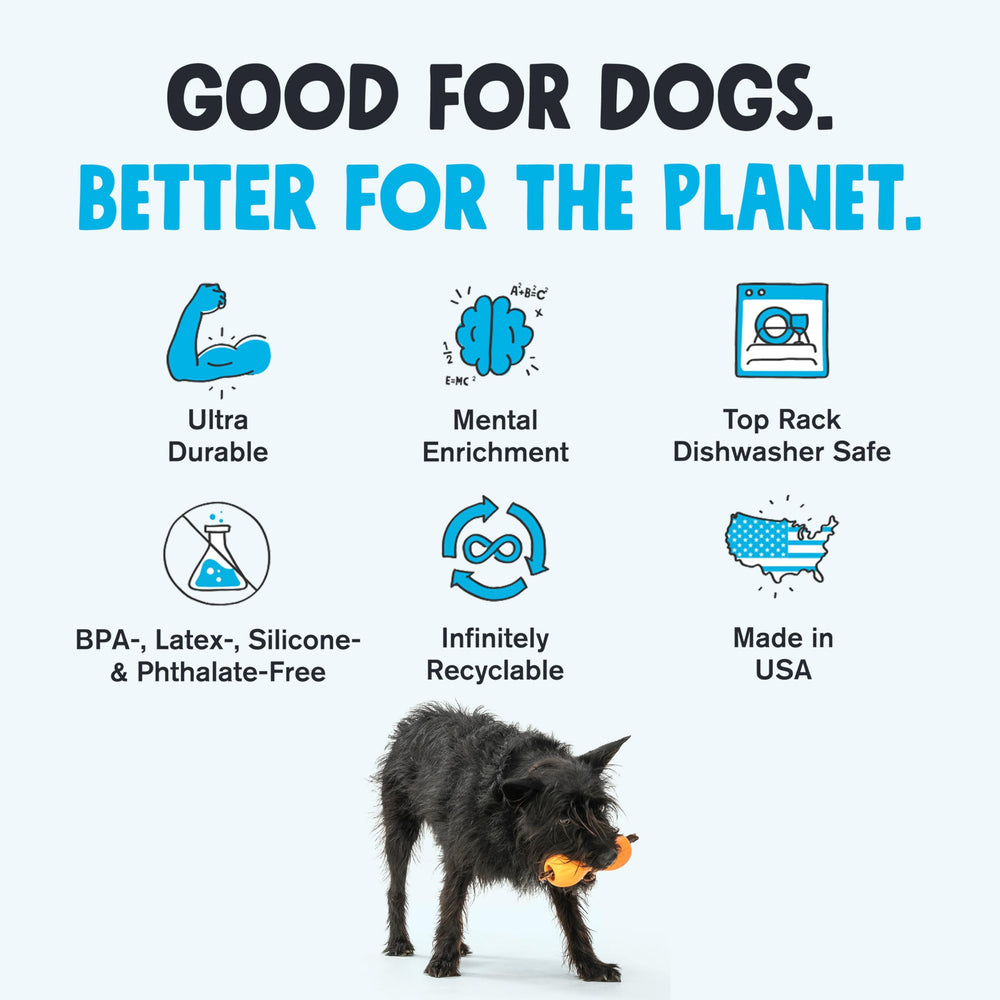 West Paw Qwizl dispensing treats during play for reward-based enrichment.